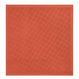 Longchamp Le Roseau Shawl Paprika | TO6735901