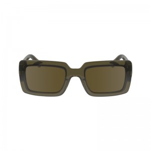 Longchamp Sunglasses Kaki | RO4319726