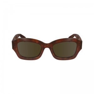 Longchamp Sunglasses Marrones | ZU3706159